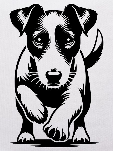 Jack Russell Terrier