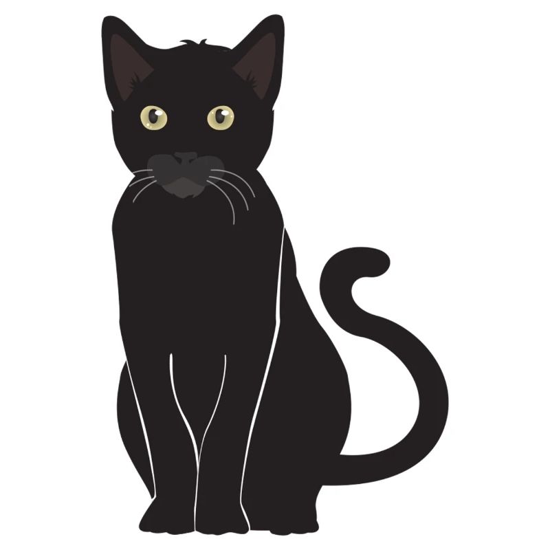 Schwarze Katze Glücksbringer wachsamer Blick