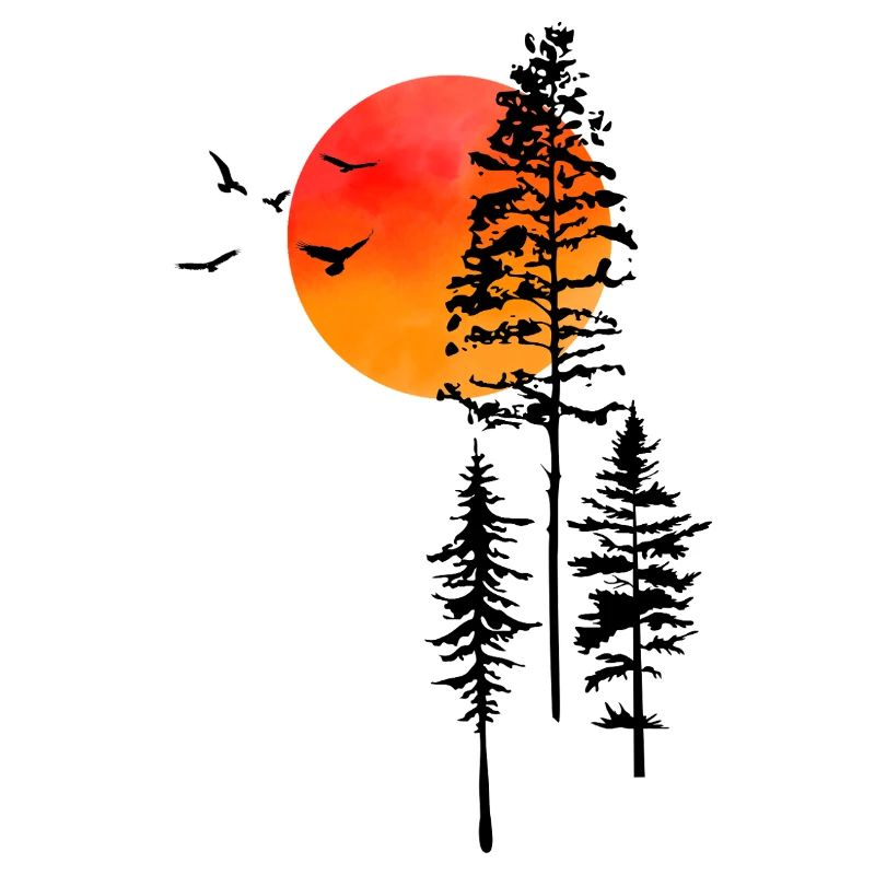 Lever du soleil et forêt 