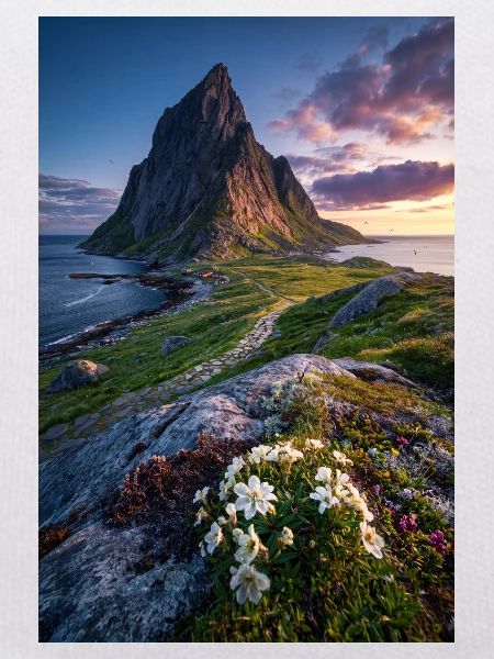 Coastal Peak mit Wildblumen