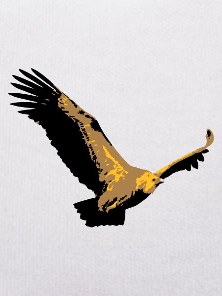 Vulture