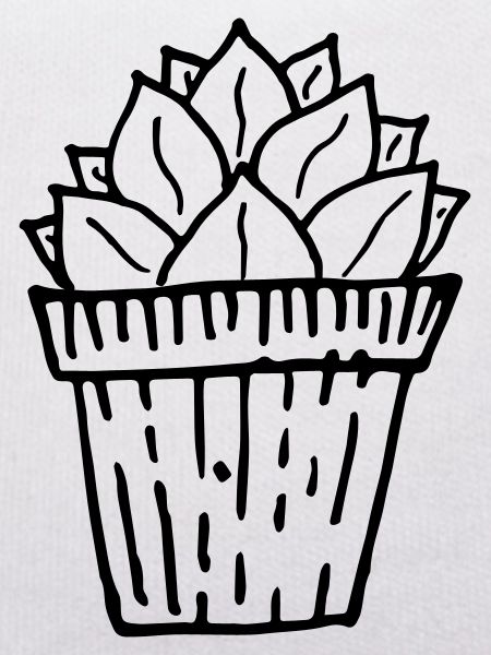 Hand-painted cactus