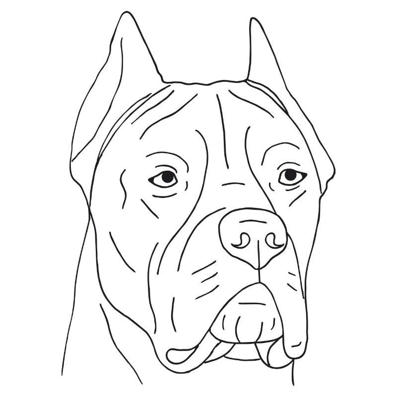 Cane Corso