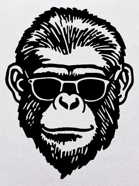 Monkey Monkey Monkey Face