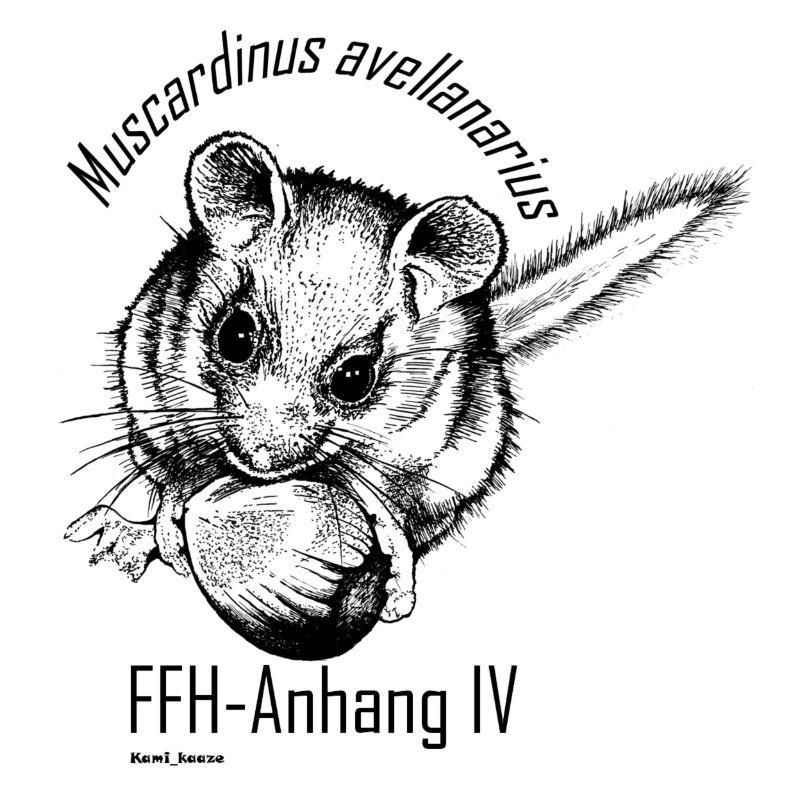 Haselmaus