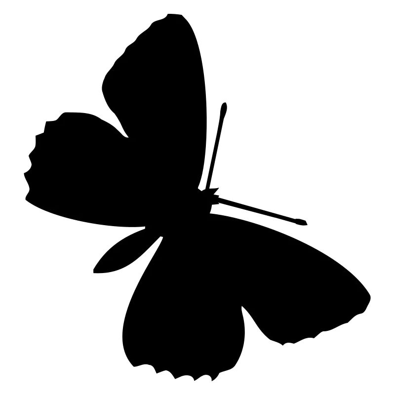 Schmetterlinge: Polyommatus Hippothoe