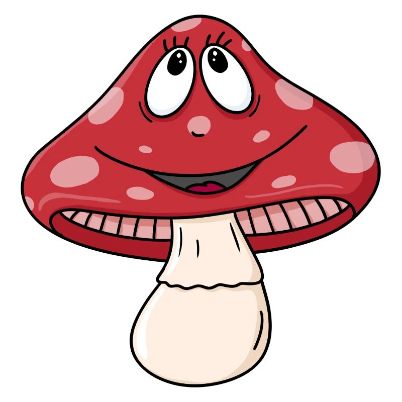 Chanceux / Champignon de mouches / Champignon