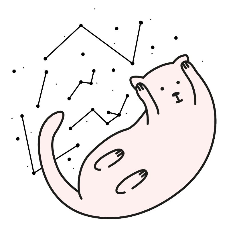 Space Cat version 2