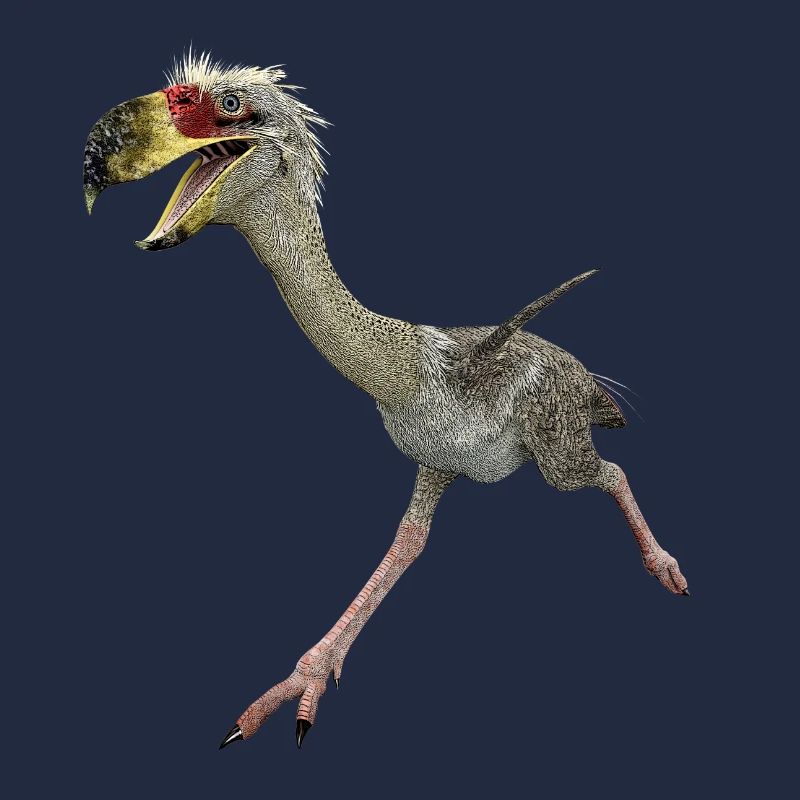 Terrorvogel Phorusrhacos, Vogel