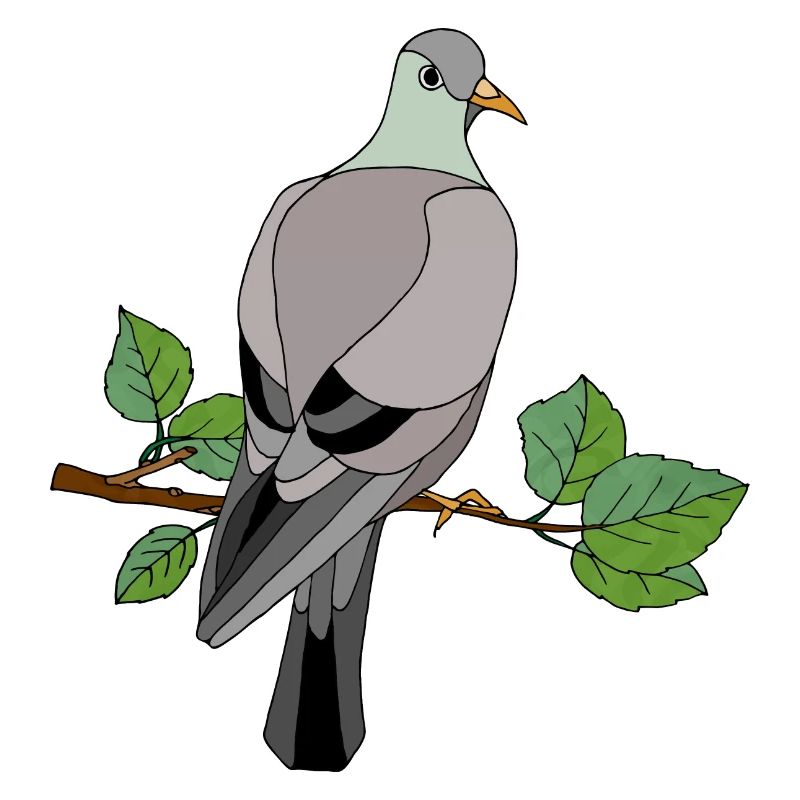 Oiseau