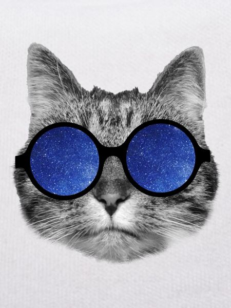 Galaxy cat