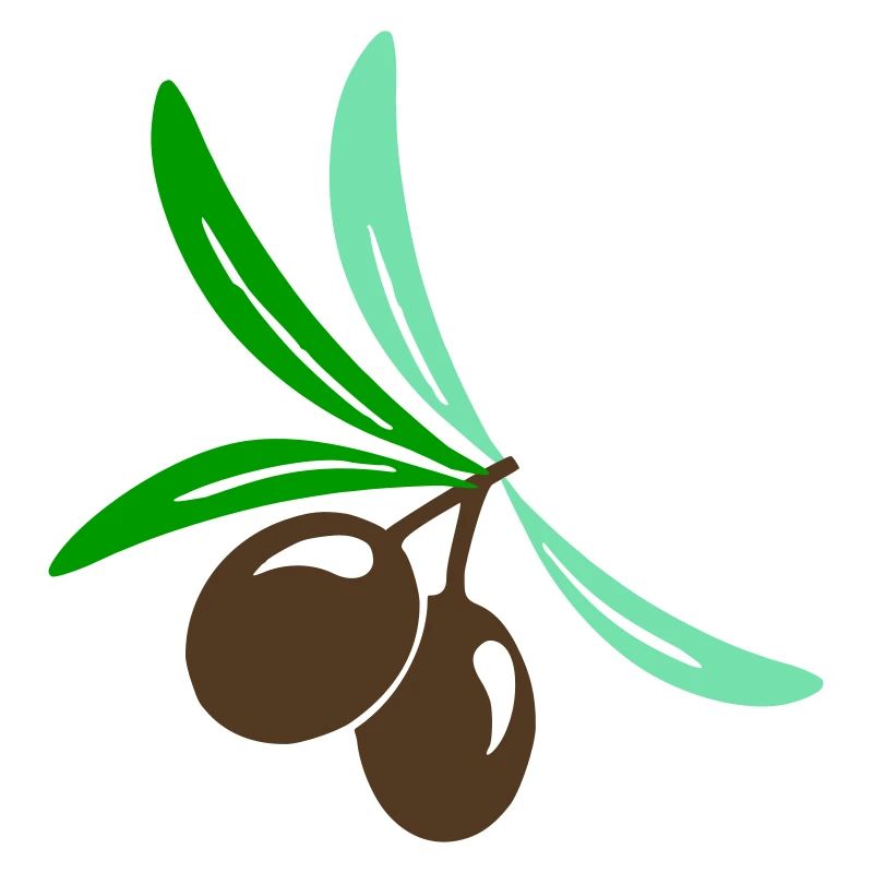 Olive 2 brin de feuille d’huile d’olive