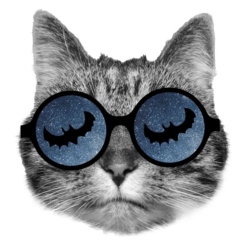 Chat d’Halloween