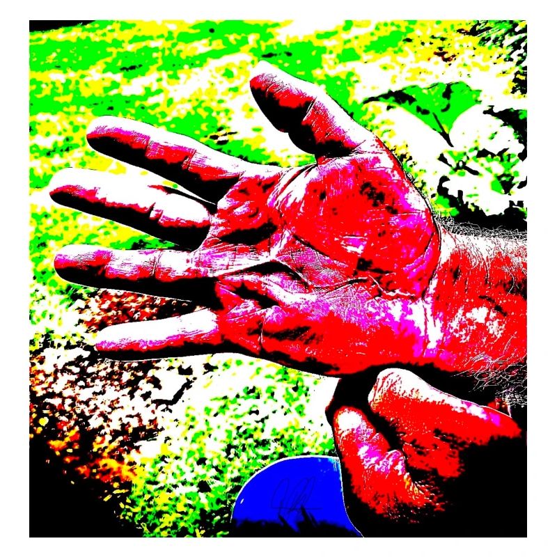 Die vom Leben gezeichnete Hand