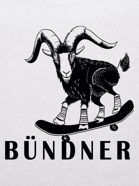 Bündner Steinbock Graubünden Grischa Grischun