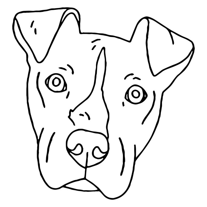 Hund