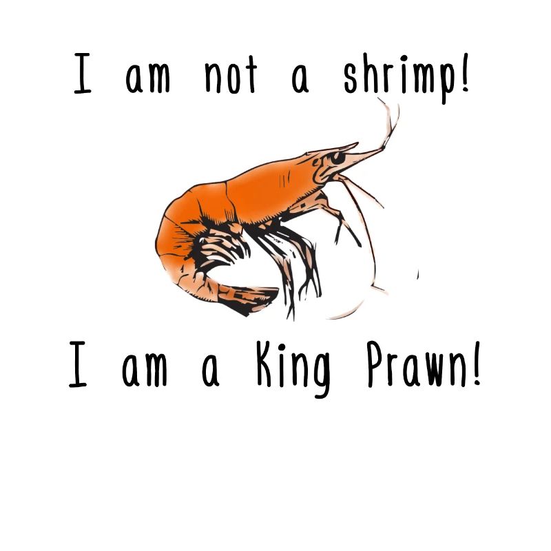 Shrimp oder King Prawn
