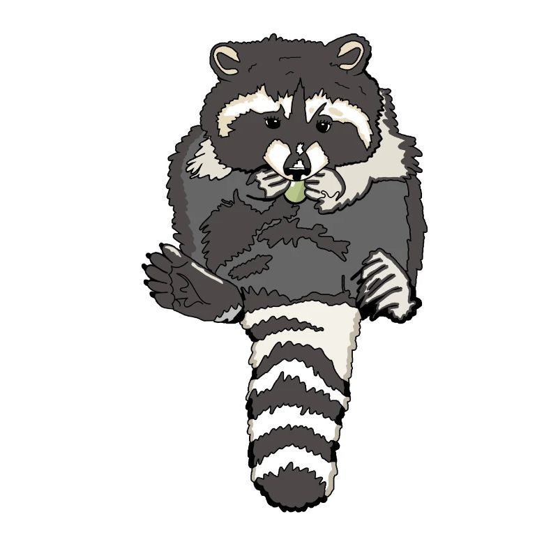 munching dumpy raccoon