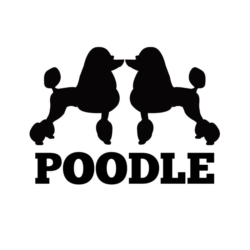 Poodle Poodle Poodle