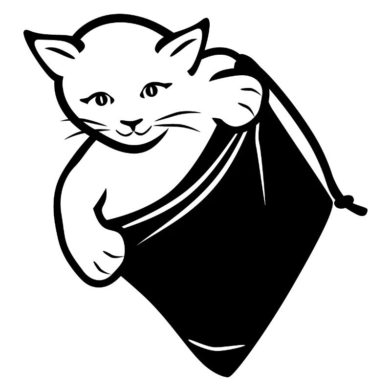 Chat espion
