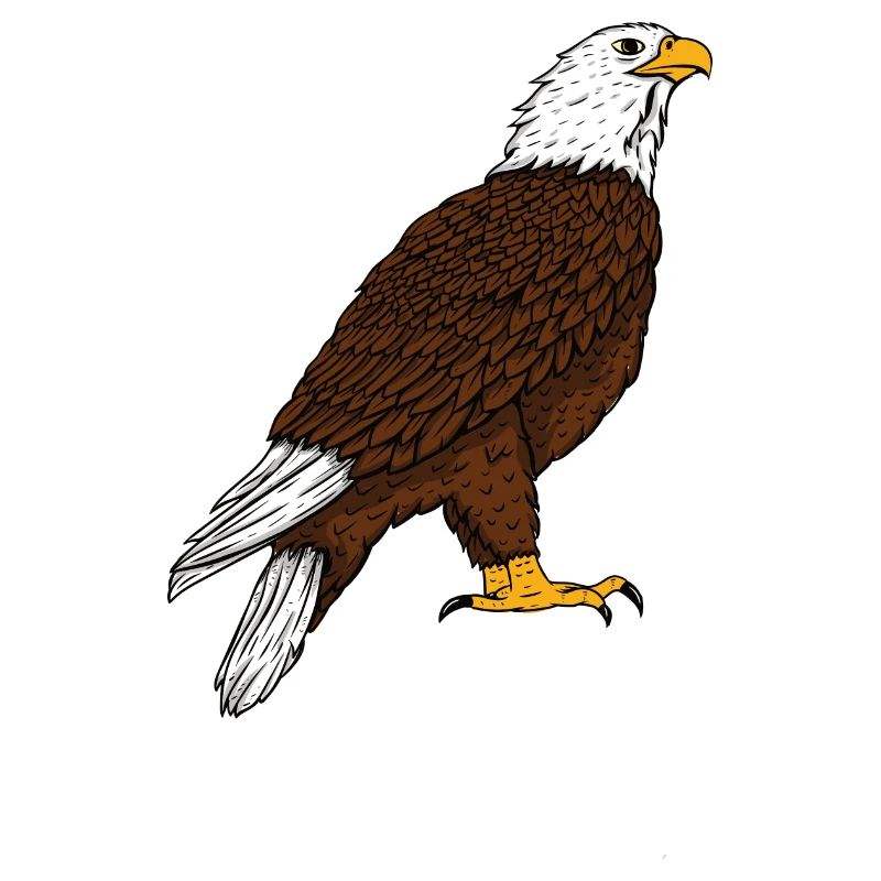 eagle