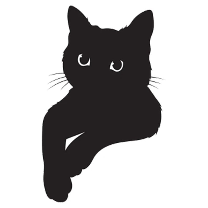 Schwarze Katze Pose