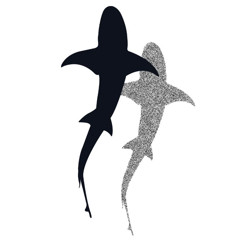 Requin