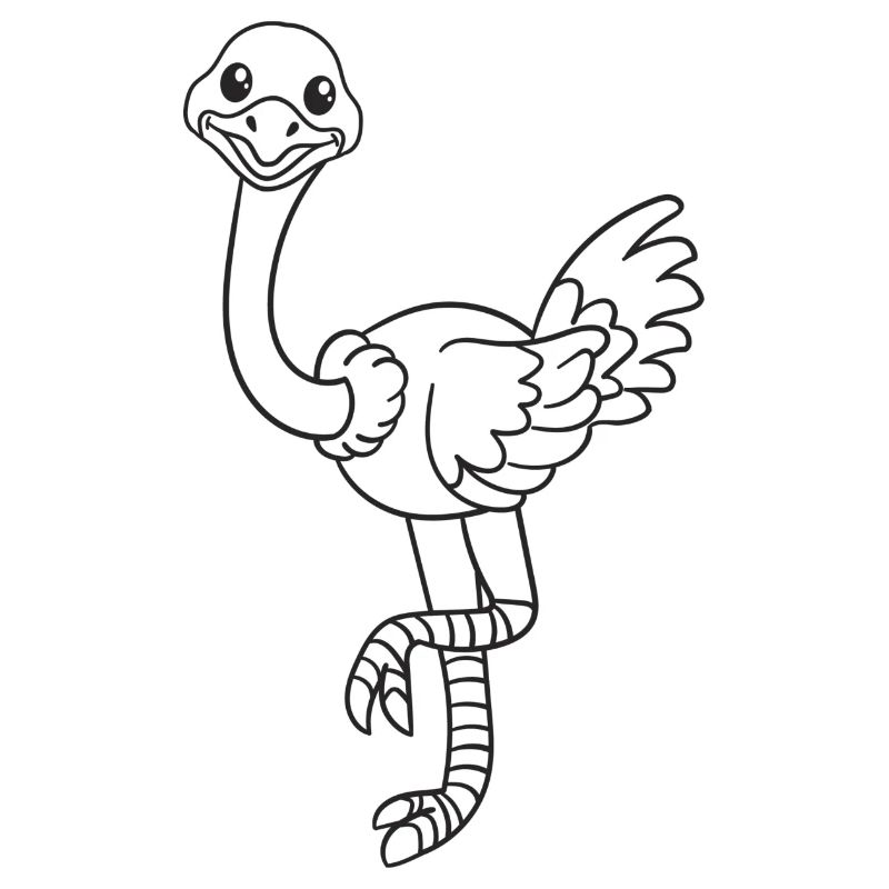Strauß, Vogel Strauß, Geschenk, Geschenkidee
