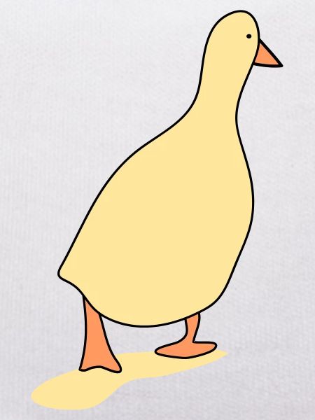 Duck bird 3