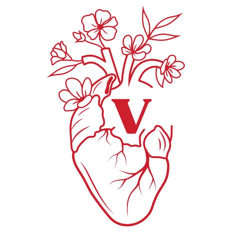 Buchstabe V Herz Rote Blumen Anatomie