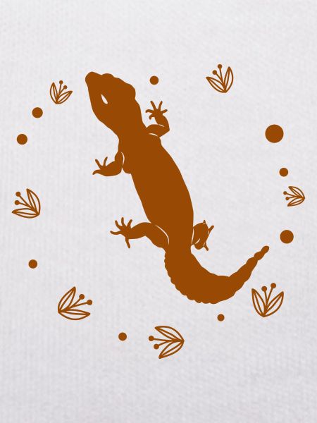 Salamander - Amphibie Tier
