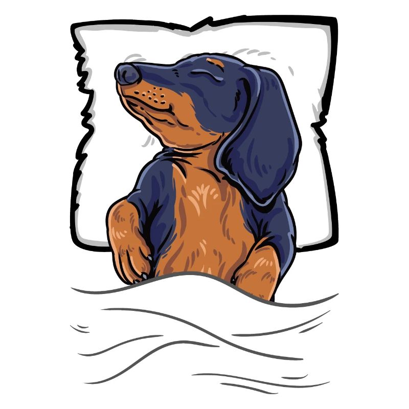 Schlafender Dackel Dachshund Teckel Bett