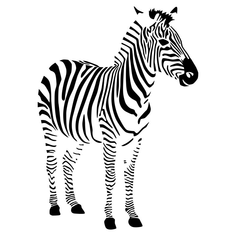 zèbre