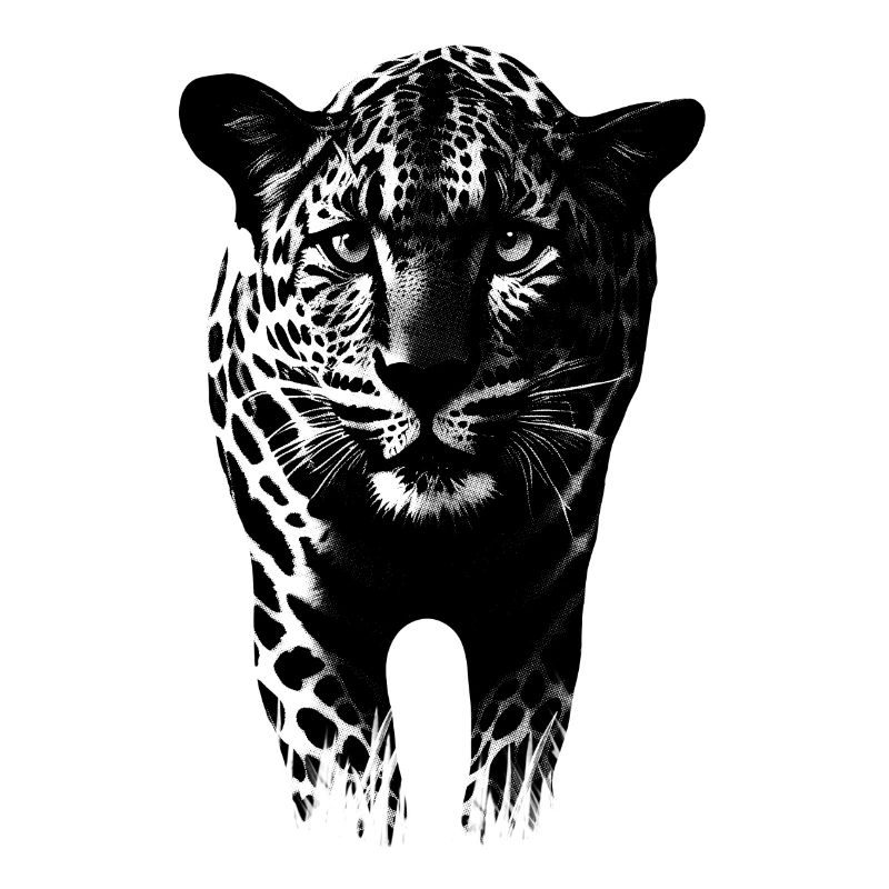 Leopard Gepard Raubkatze