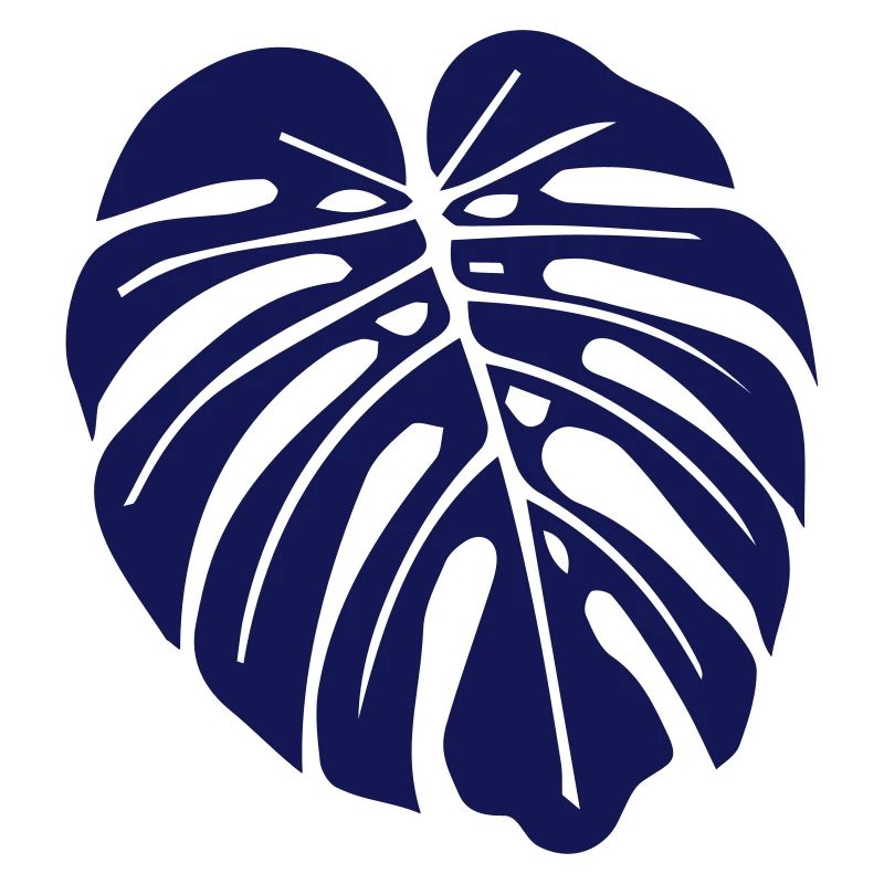 monstera leaf