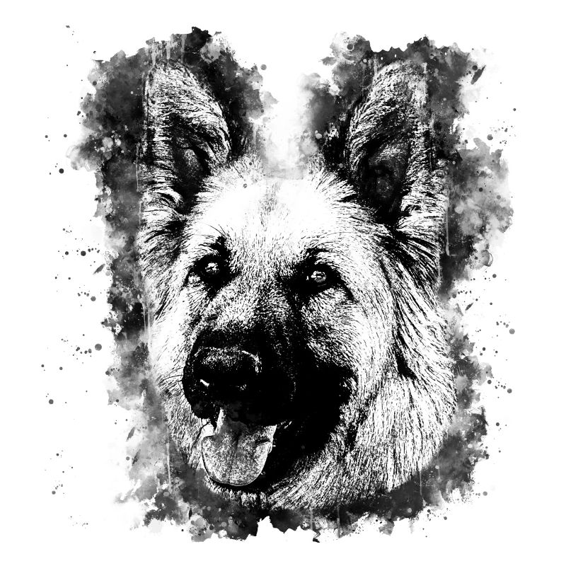 German Shepherd v2wsbw