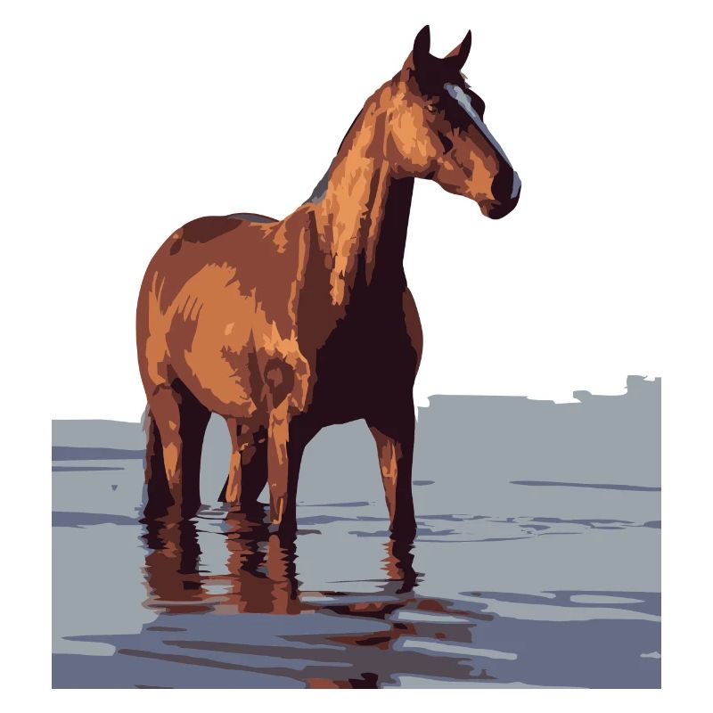 cheval dans l’eau