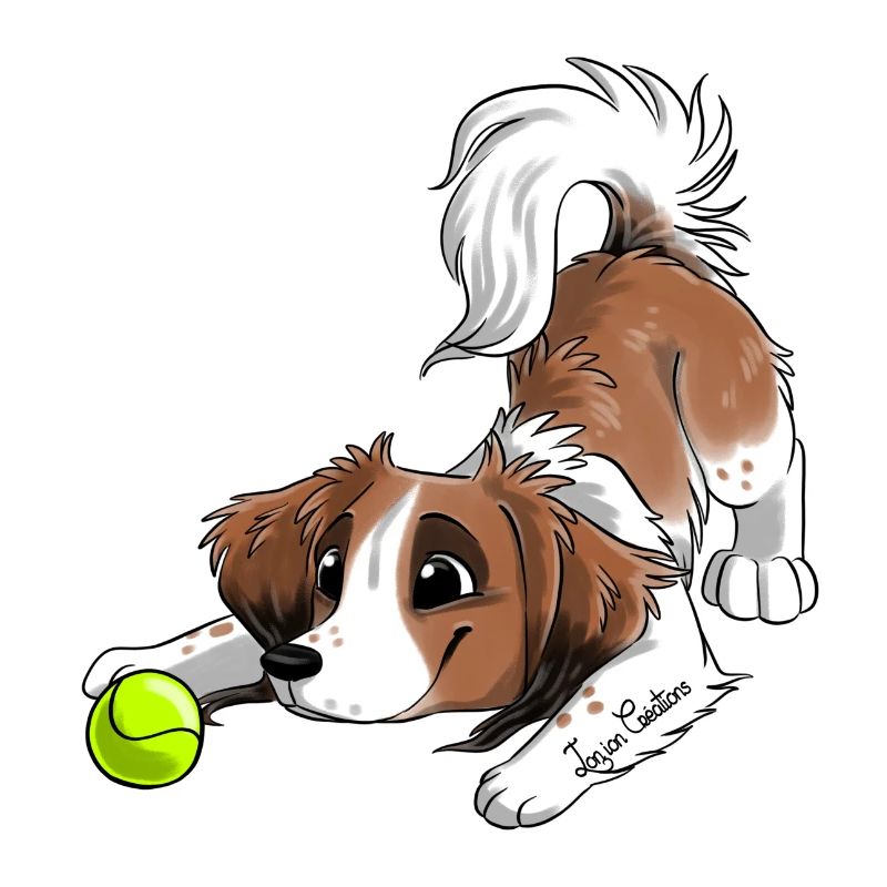 Le plus mignon Kooiker