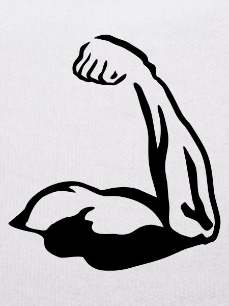 Muscels, Bicep