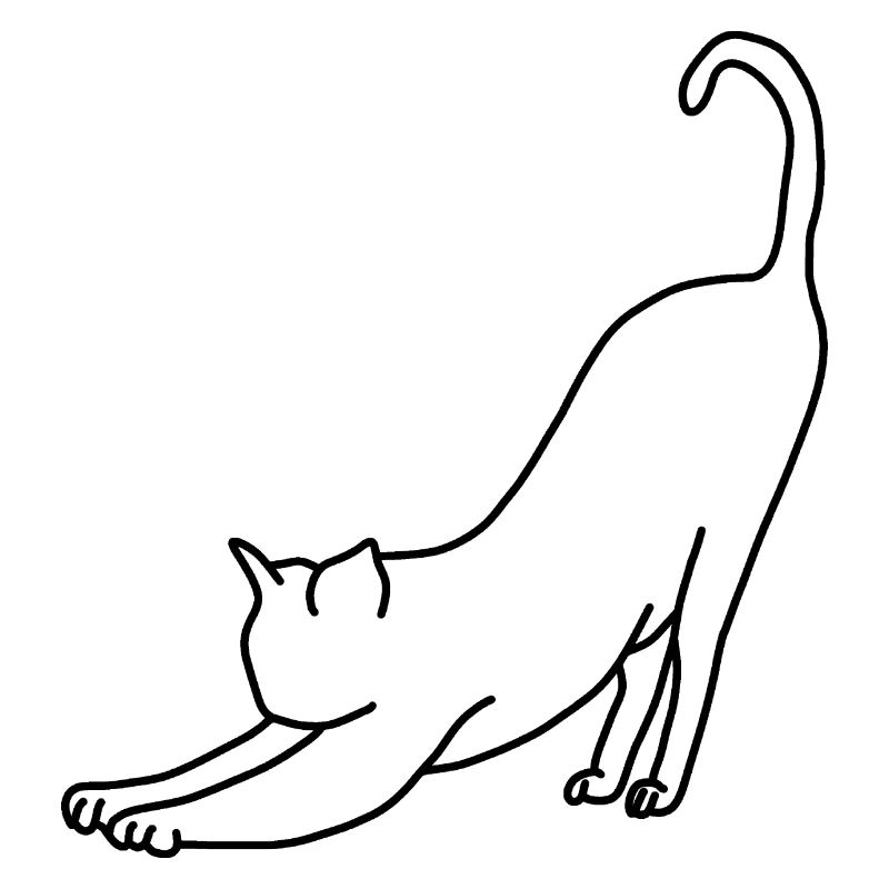 Cat stretching pet