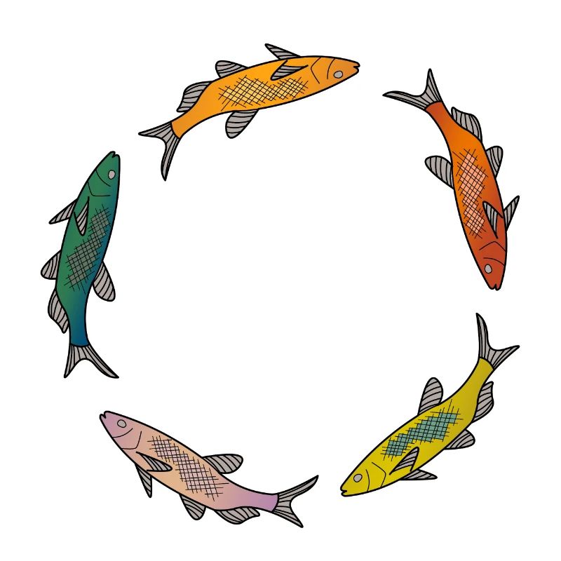 Fische bunt