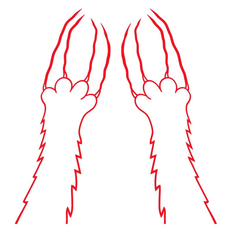 Chats, Griffes, Pattes, Pattes, Griffes, Griffures, Rayures