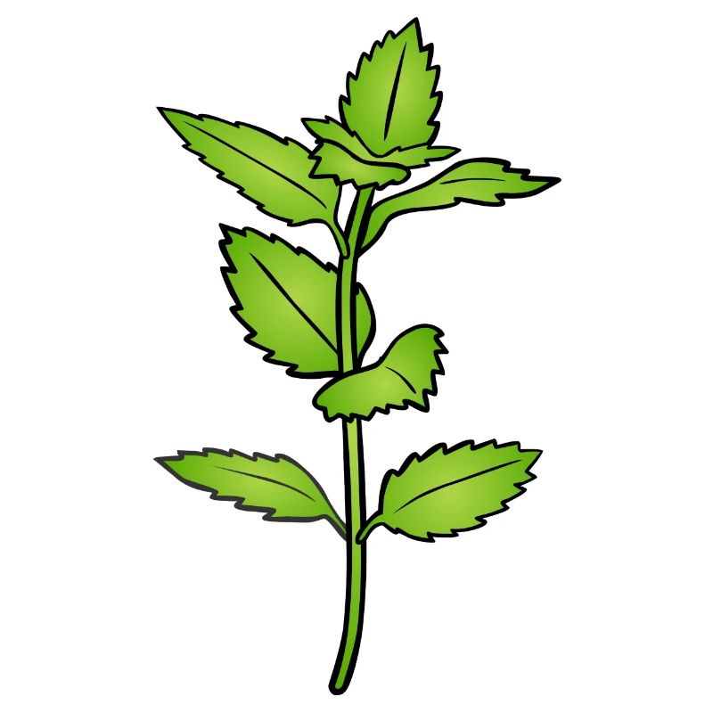 Kräuter