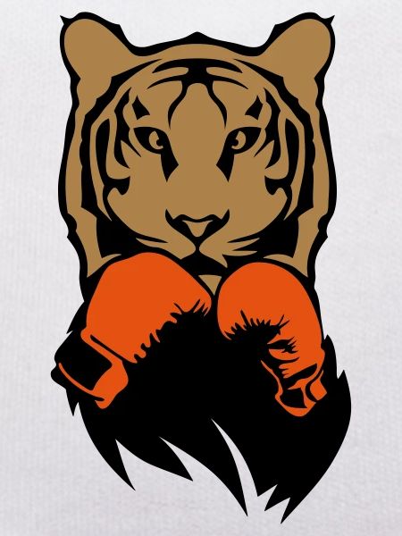 Tiger Boxer Boxer Boxer Boxer