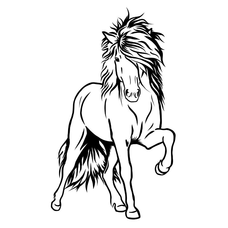 Iceland Stallion