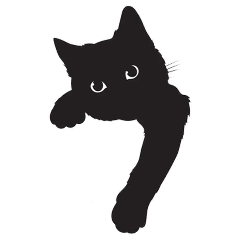 Chat noir mignon