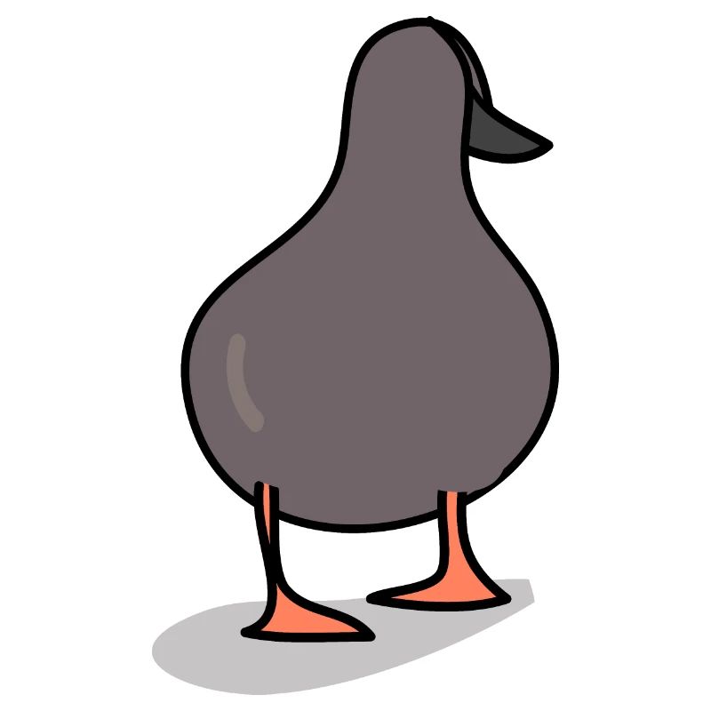Oiseau canard