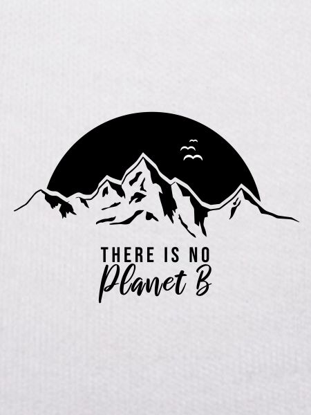 there is no planet b