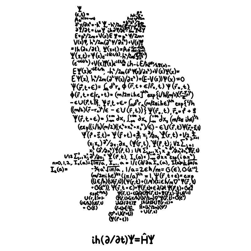 Cat Professor Gift Physics School Atom