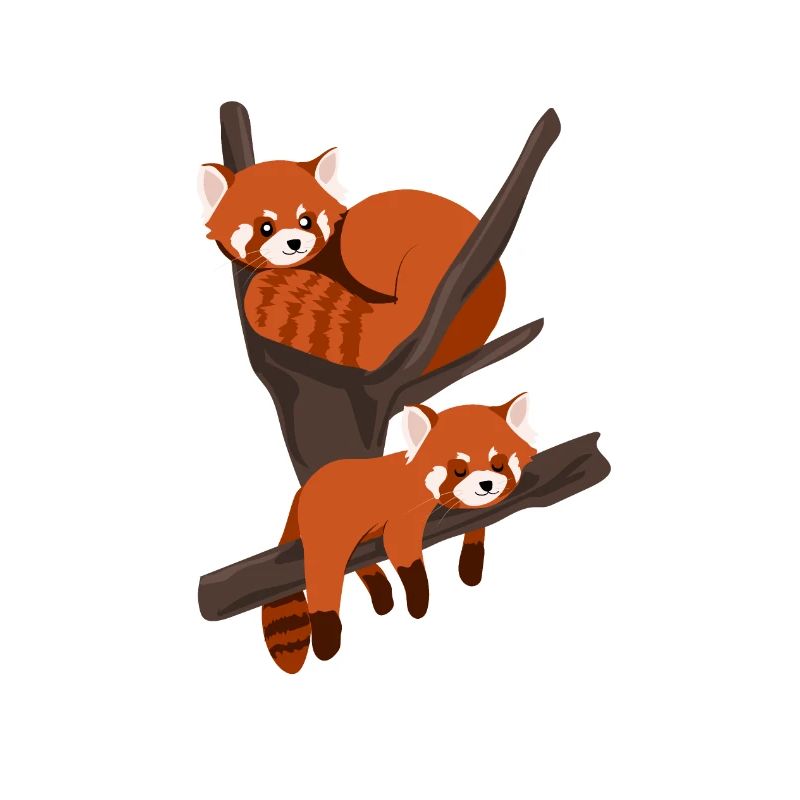 Panda rouge
